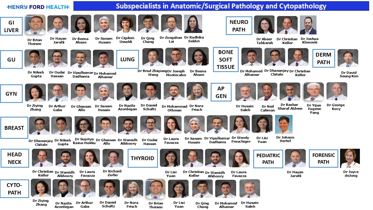 Anatomic Pathology Subspecialists