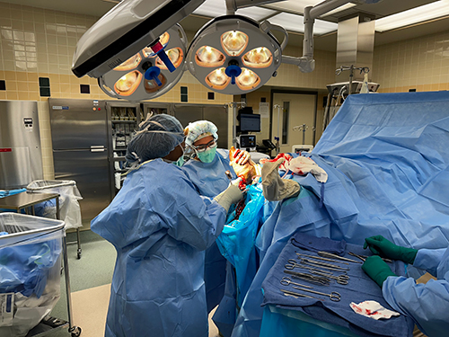 Podiatric Medicine and Surgery