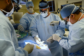 CancerSurgery OperatingRoom