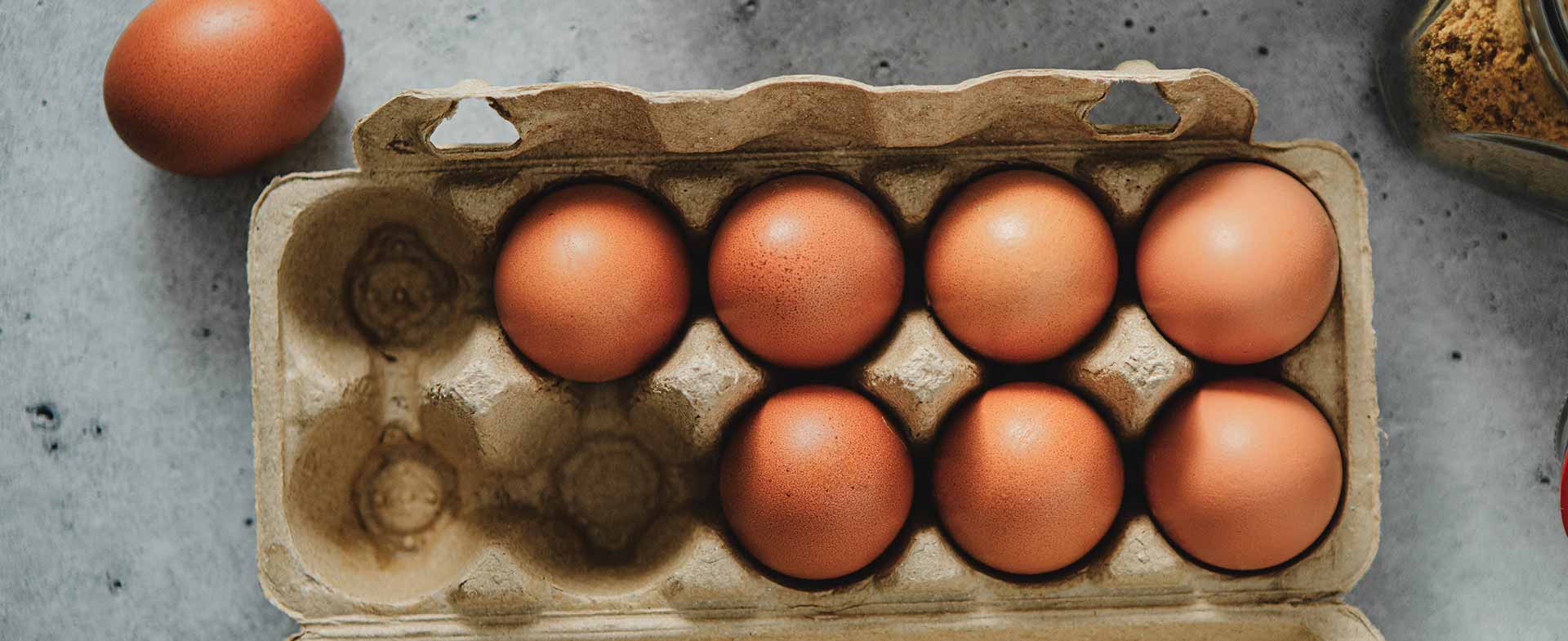 eggs for cognitive decline