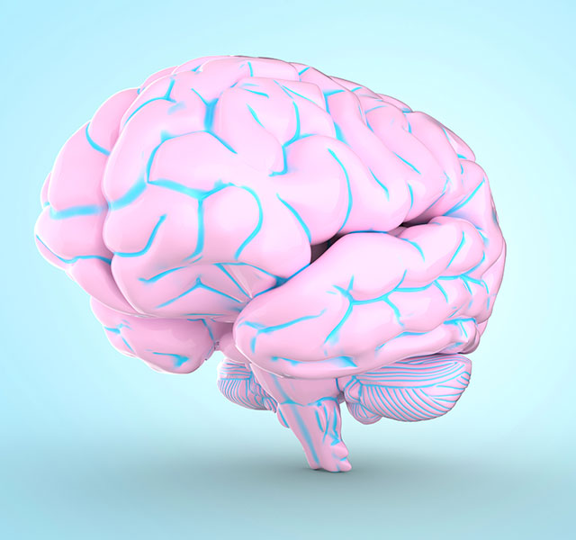pink brain