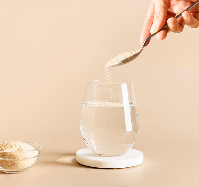 fiber supplements and brain health