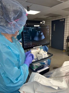 Fellow looking at scans on screen