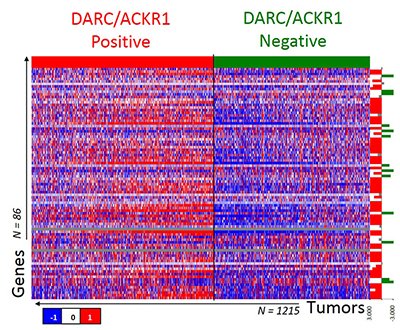 HFCI Breast Cancer Research Figure Spotlight
