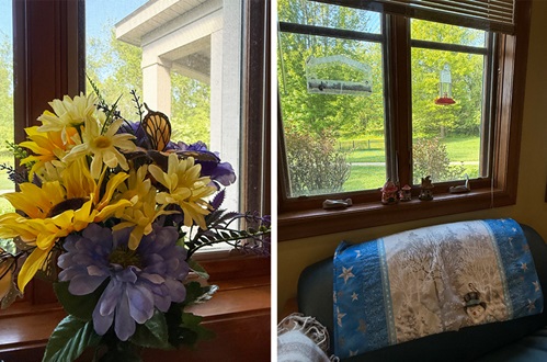 Flower and Blanket for Gloria