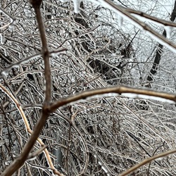 The Benefits of Cold Temps