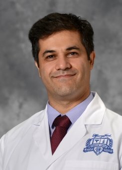 Houtan Noushmehr PhD